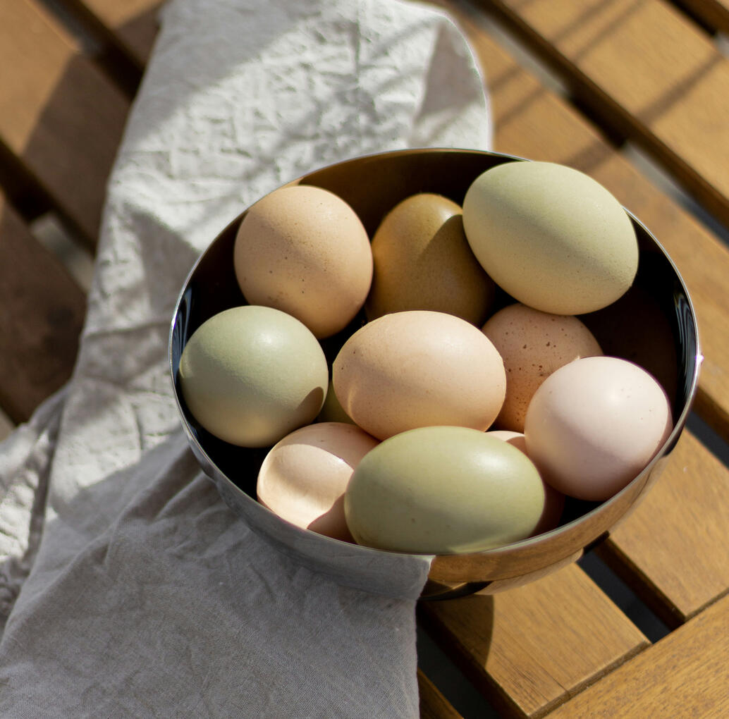 fresh farm eggs in a bowl on table fresh farm eggs in a bowl on table